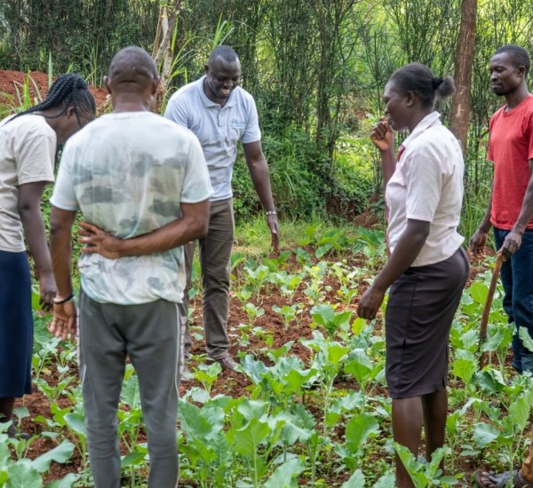 People At A Kales Farm